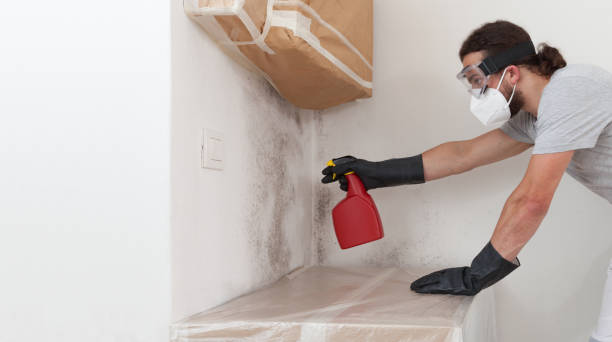 Professional Basement Mold Removal technician working in Marshall, MN