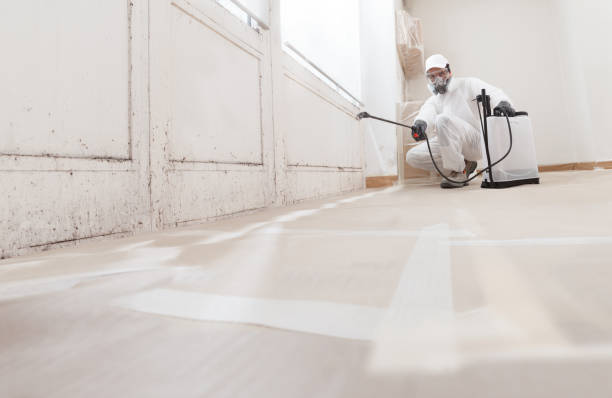 24/7 Emergency Basement Mold Removal experts in Marshall, MN