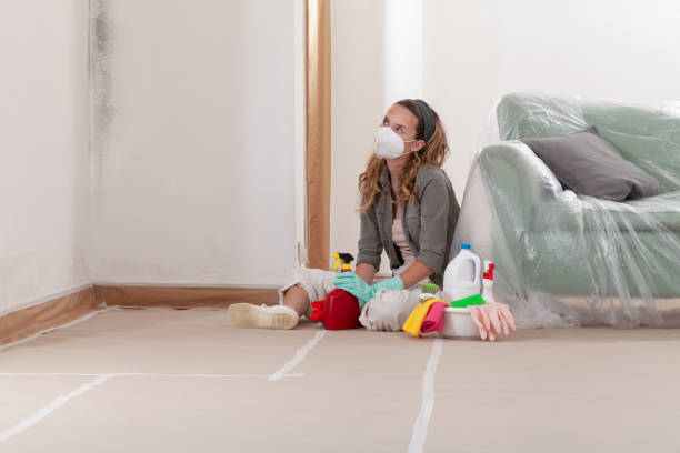 Reliable Basement Mold Removal contractor in Marshall, MN by WQB Mold Removal